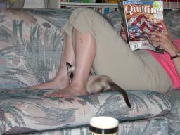 kittens - 071007 23